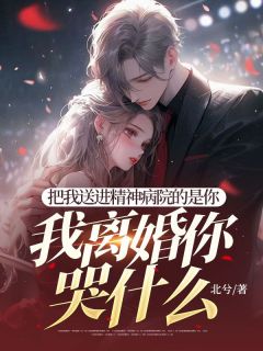 把我送进精神病院的是你，我离婚你哭什么知乎后续免费试读