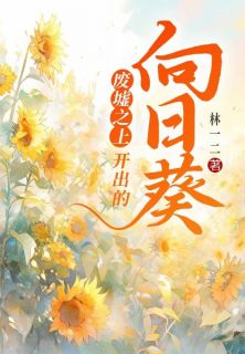 主角成言晚晚小说完整版-废墟之上开出的向日葵免费阅读全文-暗夜阅读网