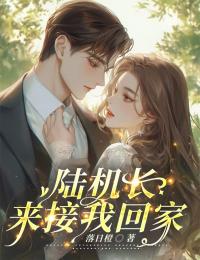 陆机长，来接我回家全文目录-陈知音陆云舟小说无弹窗阅读
