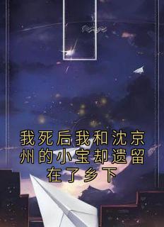 我死后我和沈京州的小宝却遗留在了乡下小说(完结)-沈京州小宝无删减阅读
