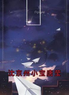 沈京州小宝是什么小说免费版阅读抖音热文-暗夜阅读网