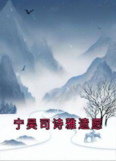 宁昊司诗雅遗愿小说(完本)-宁昊司诗雅无错版阅读