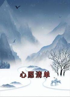 宁昊司诗雅小说无广告阅读