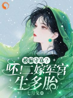 独家被骗守寡？呸！二嫁军官生多胎全本大结局小说阅读