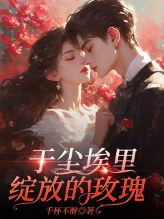 于尘埃里绽放的玫瑰小说(完结)-乔玉盛南延无删减阅读