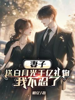 妻子送白月光千亿礼物，我不忍了未删减阅读