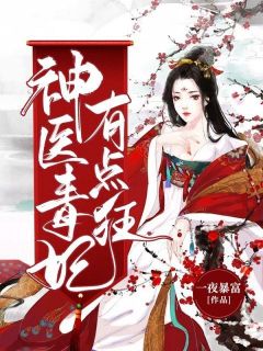 神医毒妃有点狂(孟繁落容成崇湳)小说全章节目录阅读
