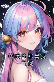 好文热推小说林暖陆祁景沈音婉主角林暖陆祁景全文在线阅读