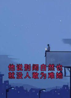 热门推荐他说别闹自然也就没人敢为难她by乔晚柠小说正版在线-暗夜阅读网