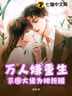 沈鸢贺京辞完整未删减版在线阅读 沈鸢贺京辞结局
