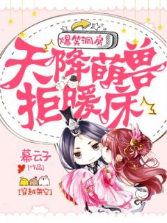 爆笑洞房：天降萌兽拒暖床完整版免费阅读，苏冉冉夜翊风小说大结局在哪看