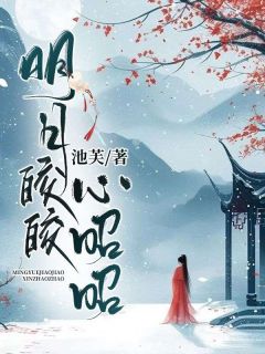 （好书推荐）明月皎皎心昭昭小说最新章节小说全文阅读