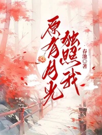 阿盈裴正轩原有月光独照我全章节免费阅读