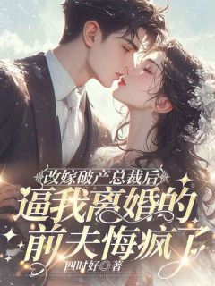 四时好的小说改嫁破产总裁后，逼我离婚的前夫悔疯了全文阅读