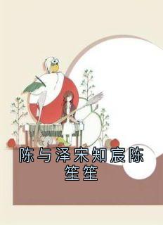 陈与泽宋知宸陈笙笙(新书)大结局在线阅读-暗夜阅读网