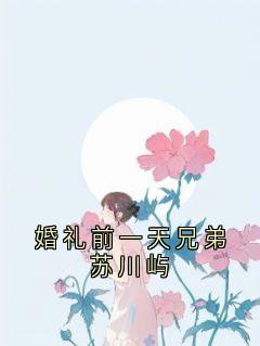 婚礼前一天兄弟苏川屿知乎小说最新章节阅读-暗夜阅读网