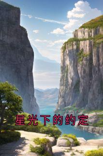辛如音写的小说星光下的约定在线阅读