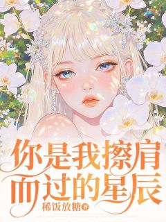 你是我擦肩而过的星辰小说(完本)-叶洵知沈安芸顾承沨无错版阅读