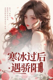 寒冰过后遇骄阳全集小说_苏时雨陆明川完结版阅读