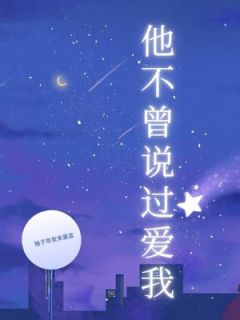 （好书推荐）他不曾说过爱我小说最新章节小说全文阅读