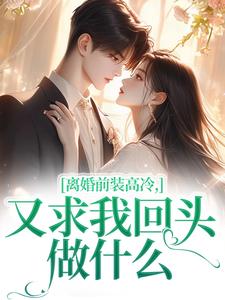 苏念封临汐离婚前装高冷，又求我回头做什么完结版小说全文免费阅读