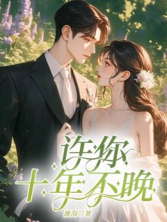 许你十年不晚苏允年舒颜川沈分川小说全文章节阅读