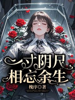 老书虫书荒推荐一寸阴尺相忘余生txt小说阅读