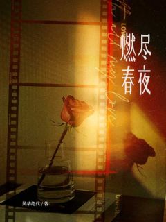 独家燃尽春夜小说-主角 高砚辞乔言心全文免费阅读