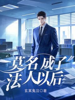 莫名成了法人以后李辉王强-小说txt全文阅读