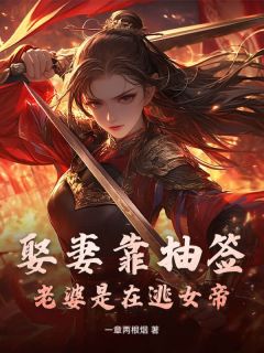 娶妻靠抽签：老婆是在逃女帝(新书)大结局在线阅读
