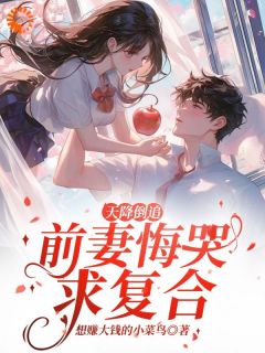 抖音小说【李沐风萧雅】全集免费版在线阅读-暗夜阅读网
