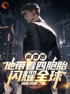 抖音爆款离婚后，他带着四胞胎闪耀全球小说免费阅读