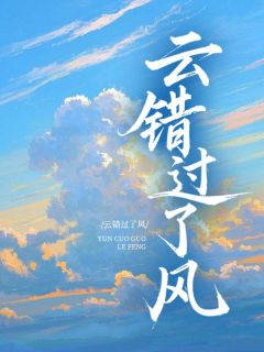 良心推荐云错过了风小说试读