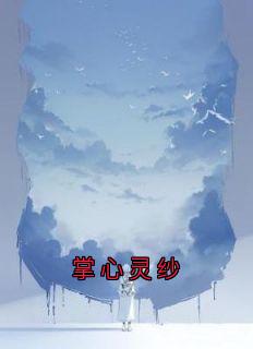 掌心灵纱【全章节】宋沉扬林叙许寄云完结版免费阅读