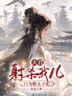 快手热推夫君为救被挟持的太子妃小说主角阿锦衡儿傅原在线阅读