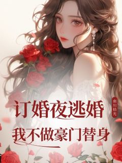 高质量小说订婚夜逃婚，我不做豪门替身在线试读