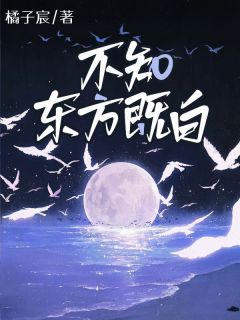 (精品)不知东方既白小说