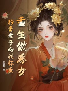热门推荐重生做恶女，矜贵世子向我称臣by江宋婉小说正版在线