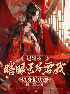 高质量小说退婚夜！瞎眼王爷要我以身抵功德在线试读