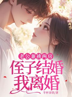 高质量小说老公兼祧两房，侄子结婚我离婚在线试读