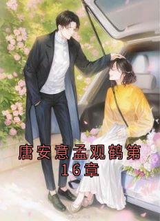 无弹窗小说唐安意孟观鹤第16章 作者唐安意-暗夜阅读网