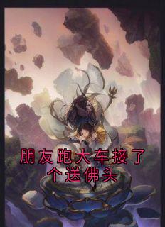 朋友跑大车接了个送佛头完整版免费阅读，龙长栋彭友大顺小说大结局在哪看-暗夜阅读网