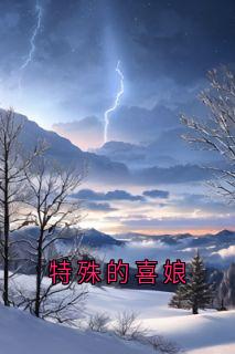 (独家)特殊的喜娘宋青青聂子远小说-暗夜阅读网