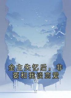 【新书】金主失忆后，非要和我谈恋爱主角宋沉扬林叙许寄云全文全章节小说阅读-暗夜阅读网