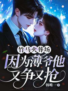 竹马火葬场，因为薄爷他又争又抢全文目录-林晚陆景川小说无弹窗阅读