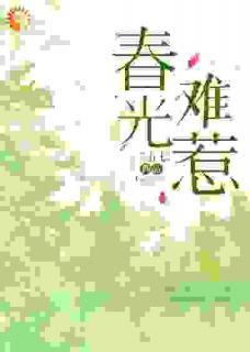 再重逢，傲娇总裁直呼他错了！免费阅读全文，主角桑恬周南钊小说完整版最新章节