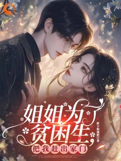 快手贺安沈念安主角的小说全本章节大结局