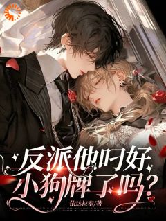 沈昭野戴宝珠小说(反派他叼好小狗牌了吗？)_沈昭野戴宝珠小说最新章节