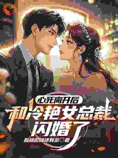 心死离开后，和冷艳女总裁闪婚了主角是陆远林颜小说百度云全文完整版阅读