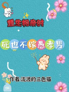 重生相亲时，死也不嫁愚孝男by叶轻枝孙民生在线阅读-暗夜阅读网